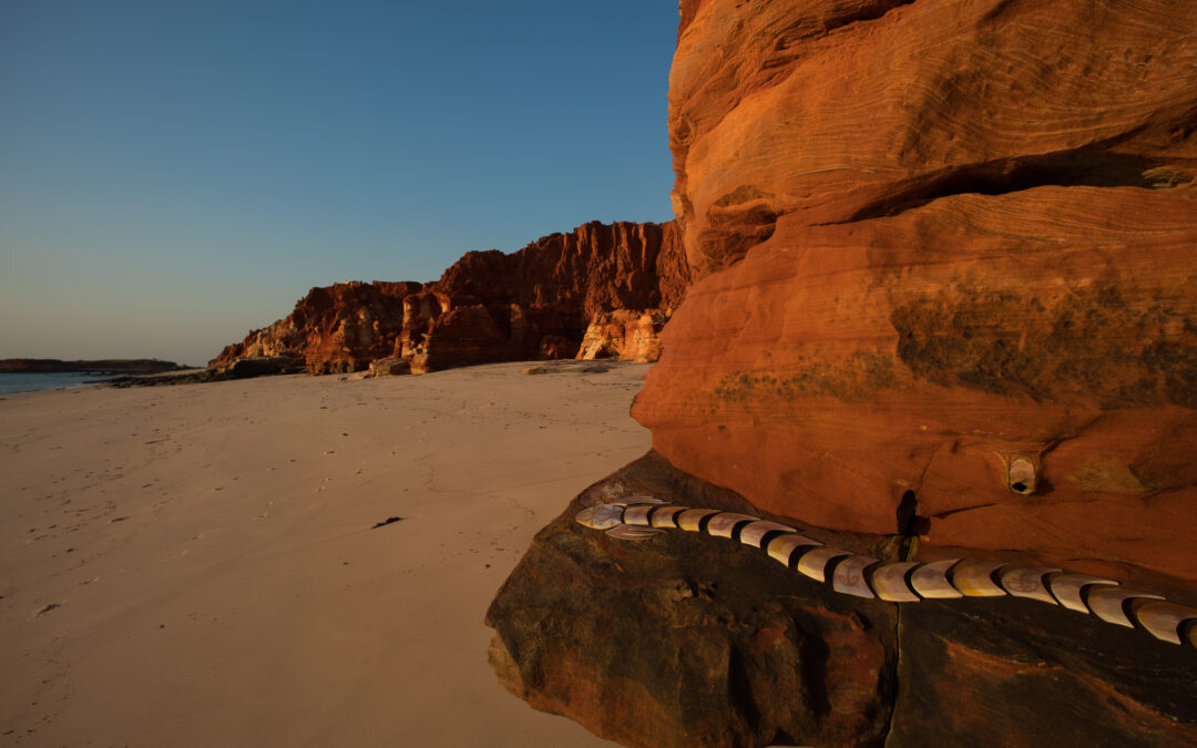 AGWA Desert River Sea