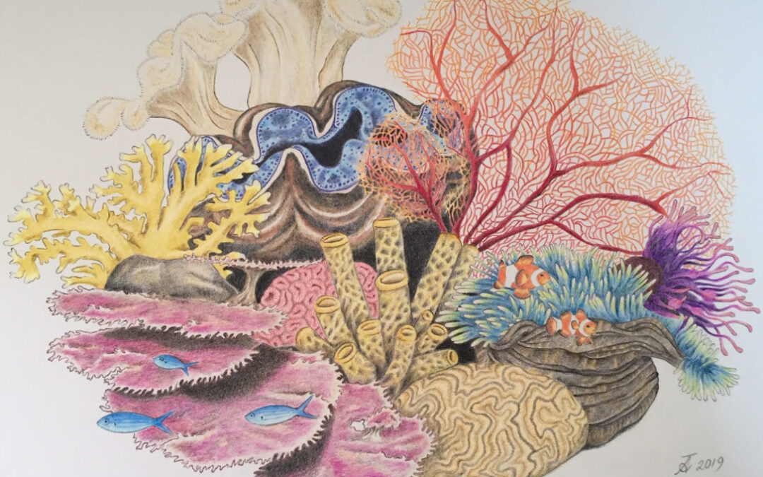 City Arts Space: UN Life Below Water