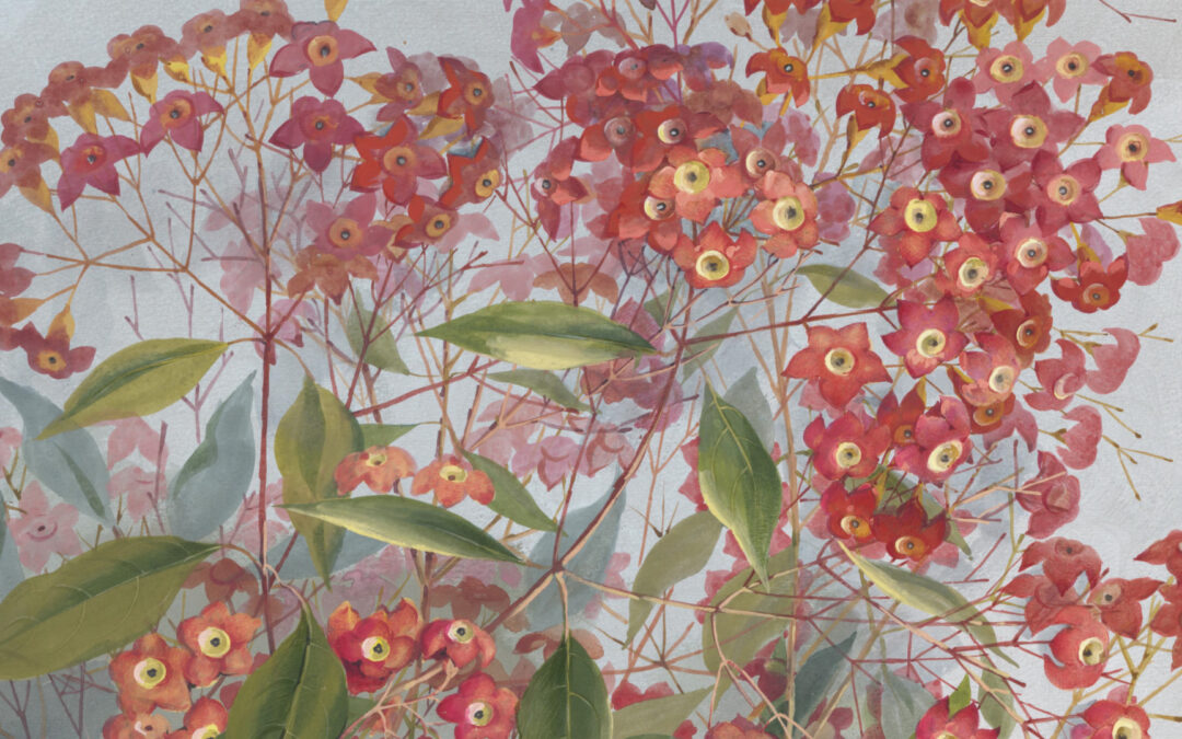 Ellis Rowan: Western Australian Wildflowers
