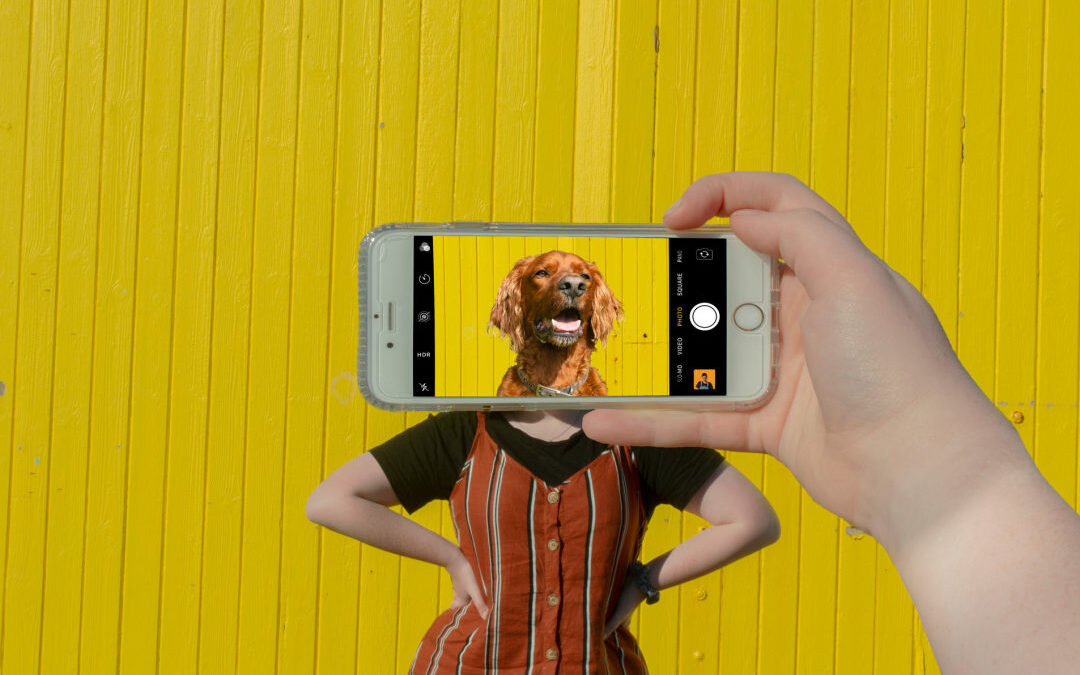 Murdoch University School of Creative Media – Photography