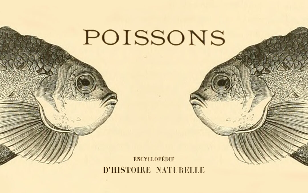 Encyclopedie D’Histoire Naturelle: Poissons