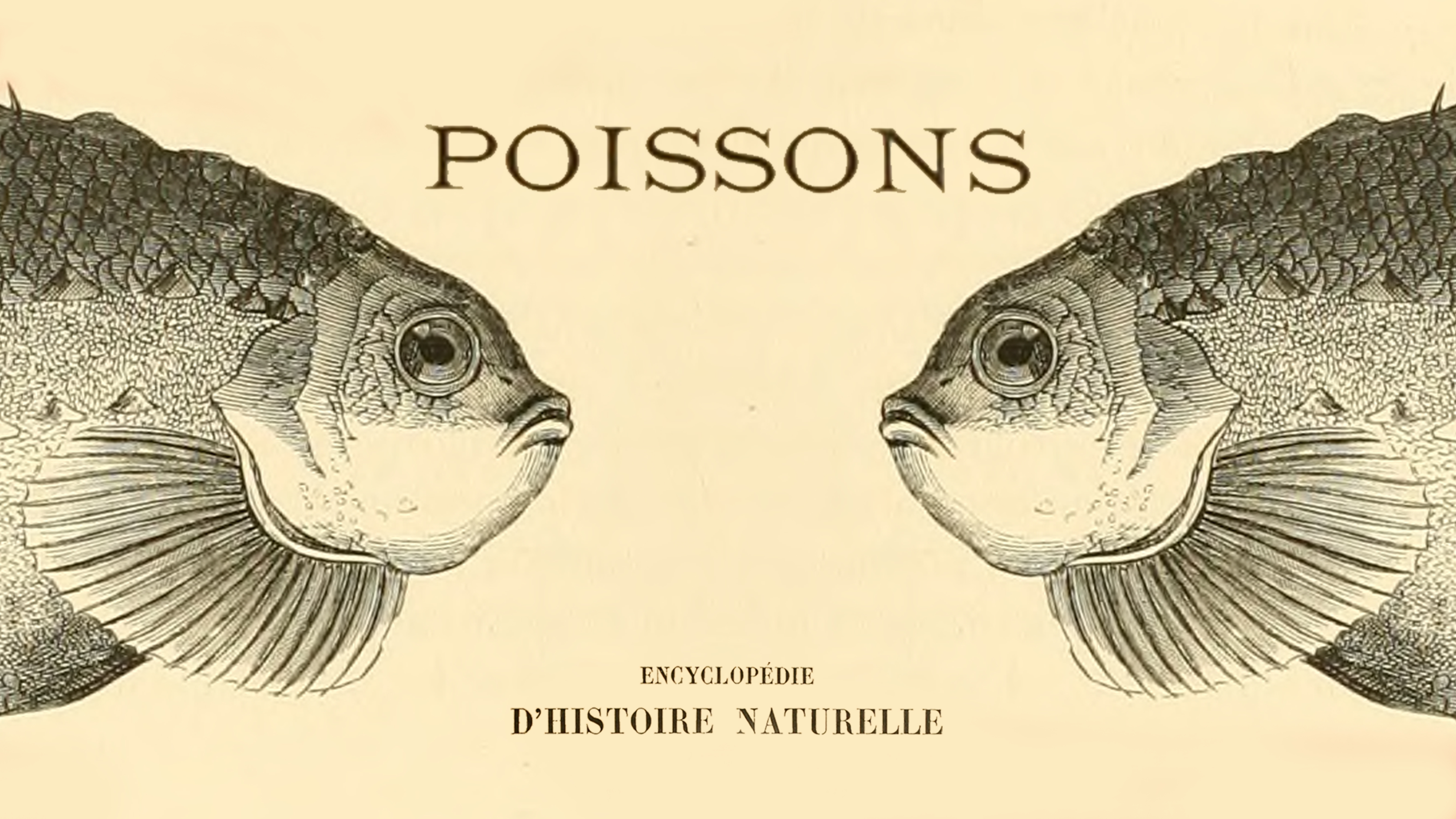 Encyclopedie D’Histoire Naturelle: Poissons