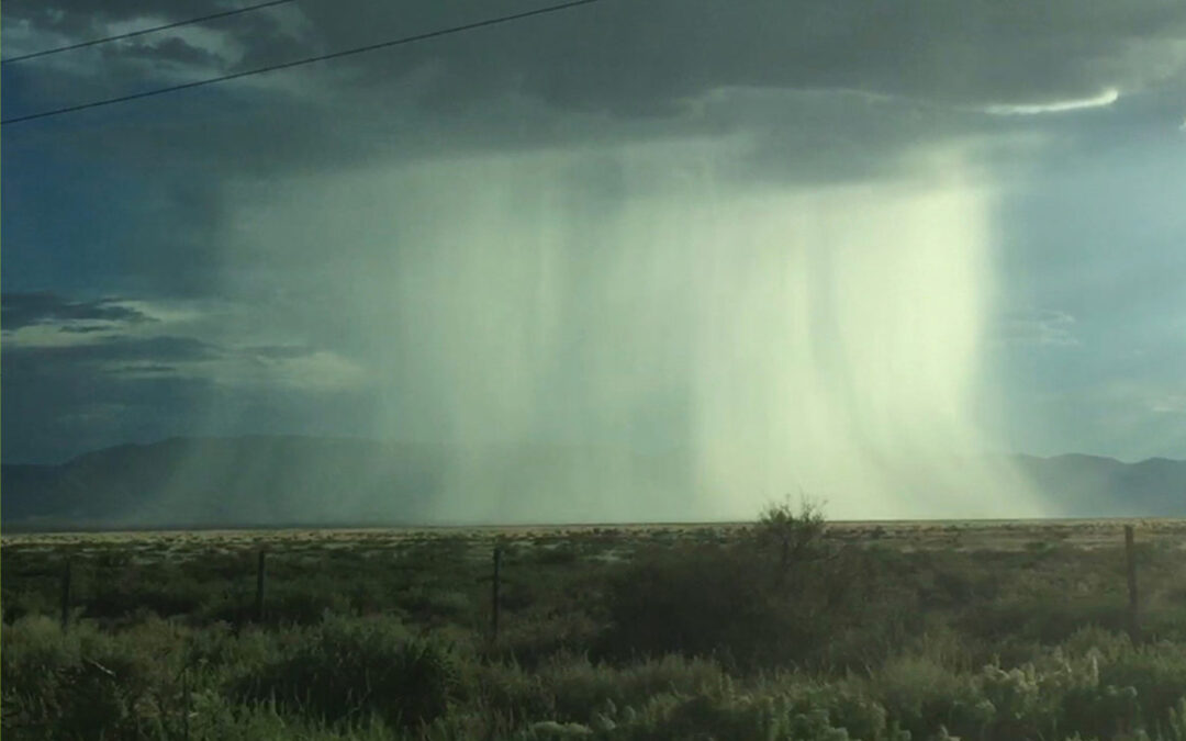 PICA: Thunderhead