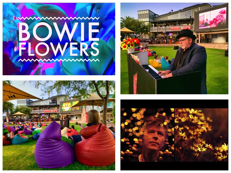 Bowie Flowers | Fringeworld