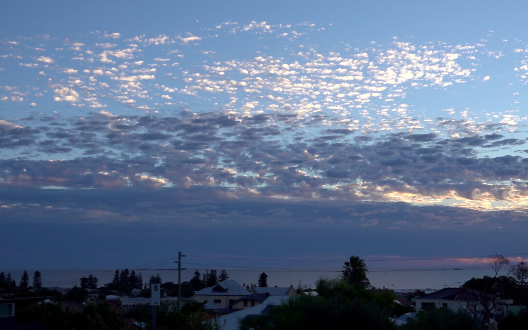 Djeran Sunset