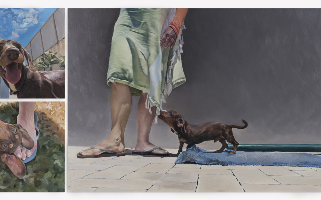 Pulse Perspectives