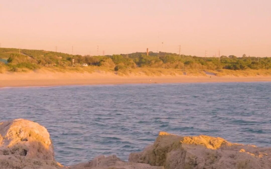 Exhibitions on Screen: Bunuru Sunset