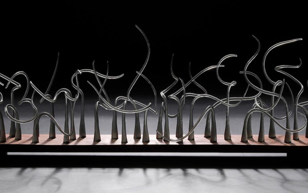 Exhibitions on Screen: AGWA Tom Malone Prize