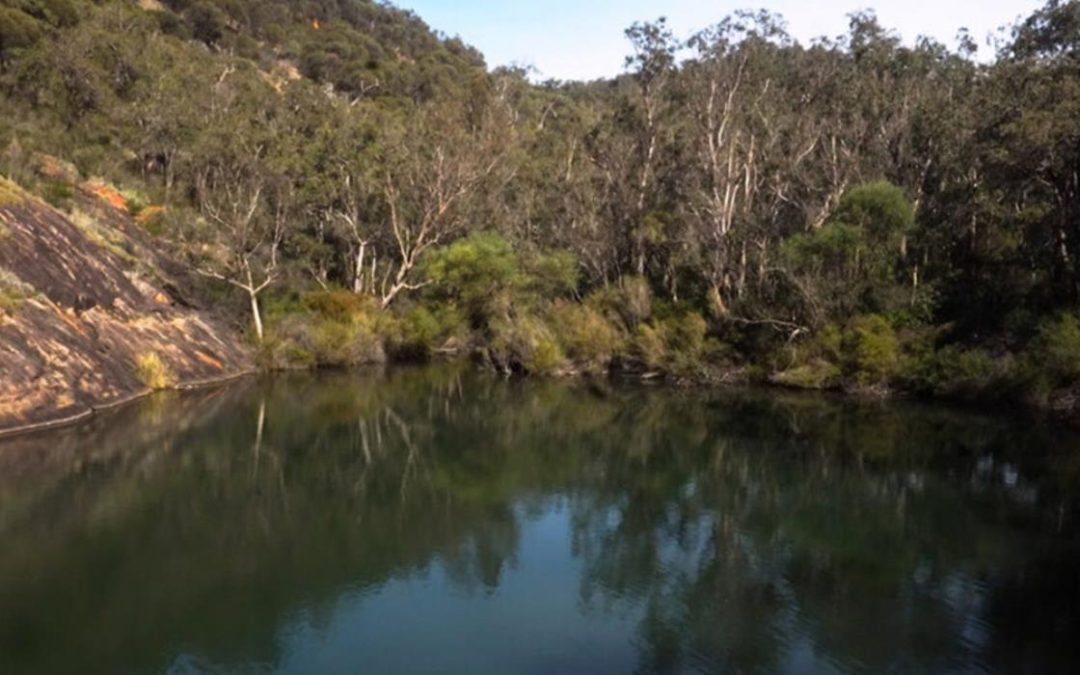 GOOLOGOOLUP NAIDOC SCREENINGS | Colours of Makuru