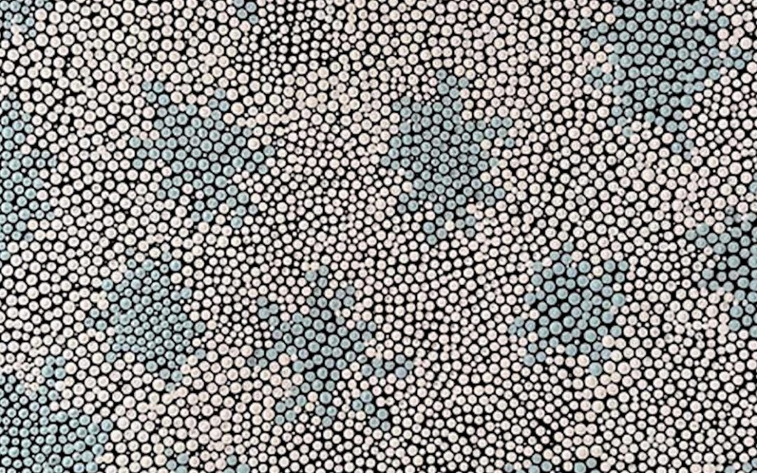 GOOLOGOOLUP NAIDOC SCREENINGS | NINUKU ARTS