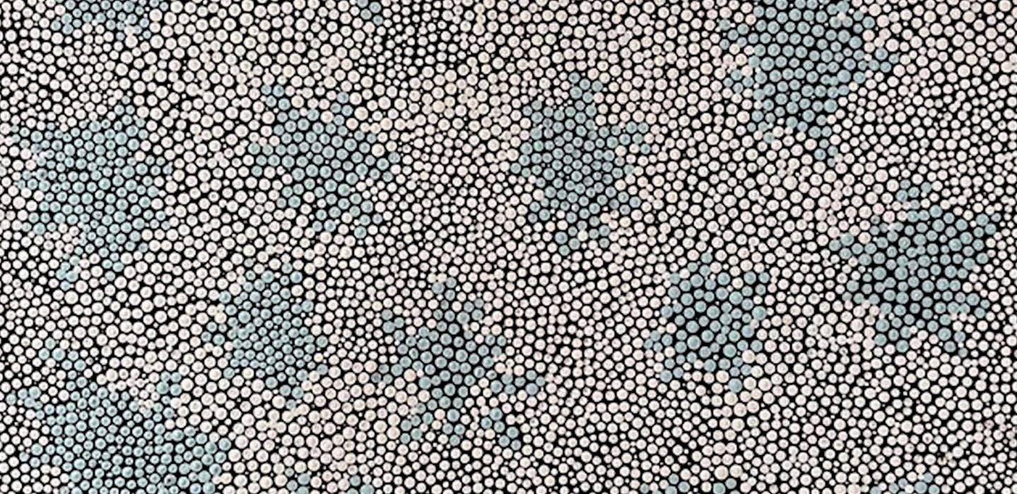 Image Credit detail of Delores Miller Mrs Miller’s Country 2025 acrylic on canvas, 87 x 59 cm, courtesy of Ninuku Arts https://www.ninukuarts.com.au/