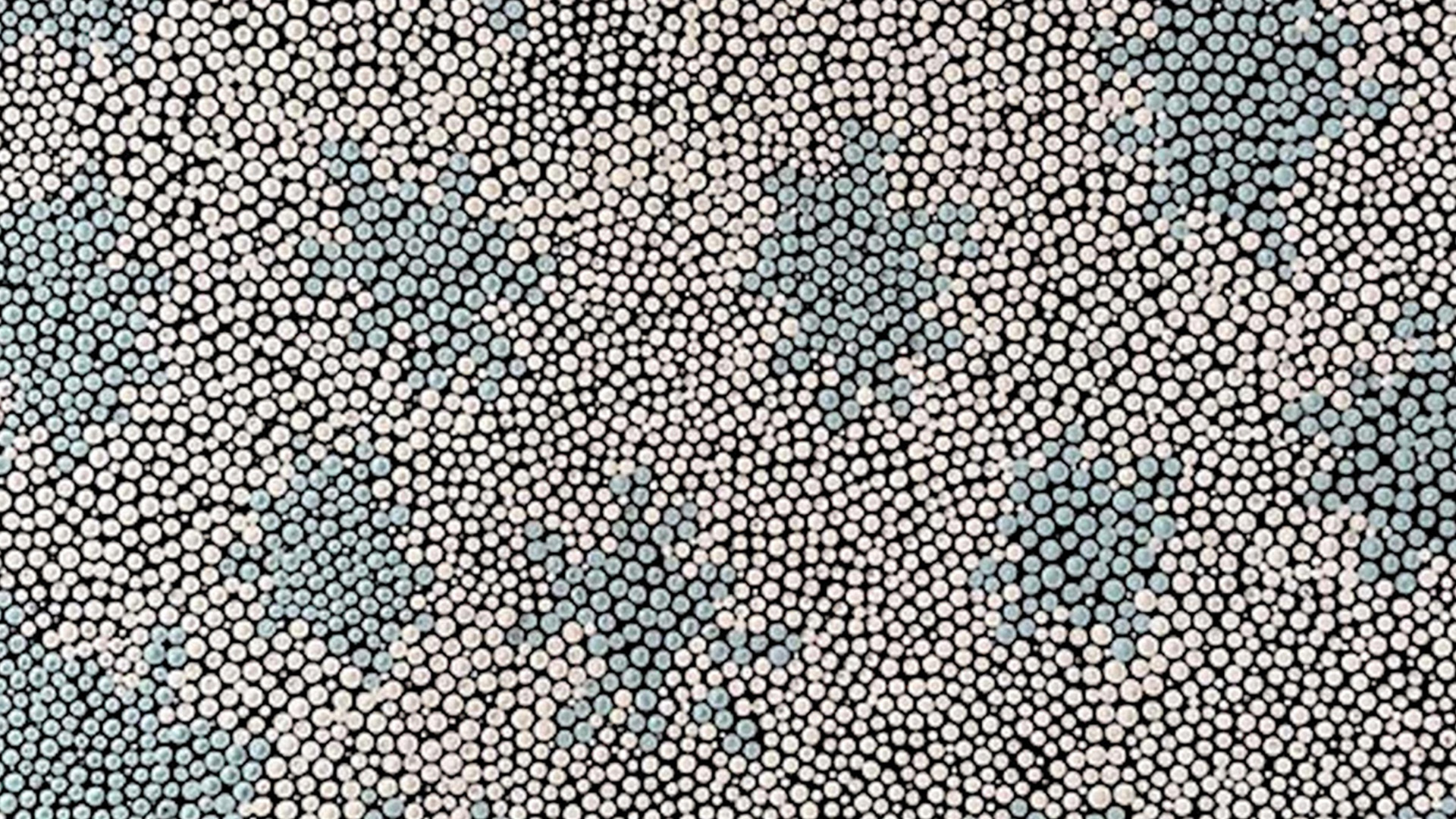 NINUKU ARTS16x9