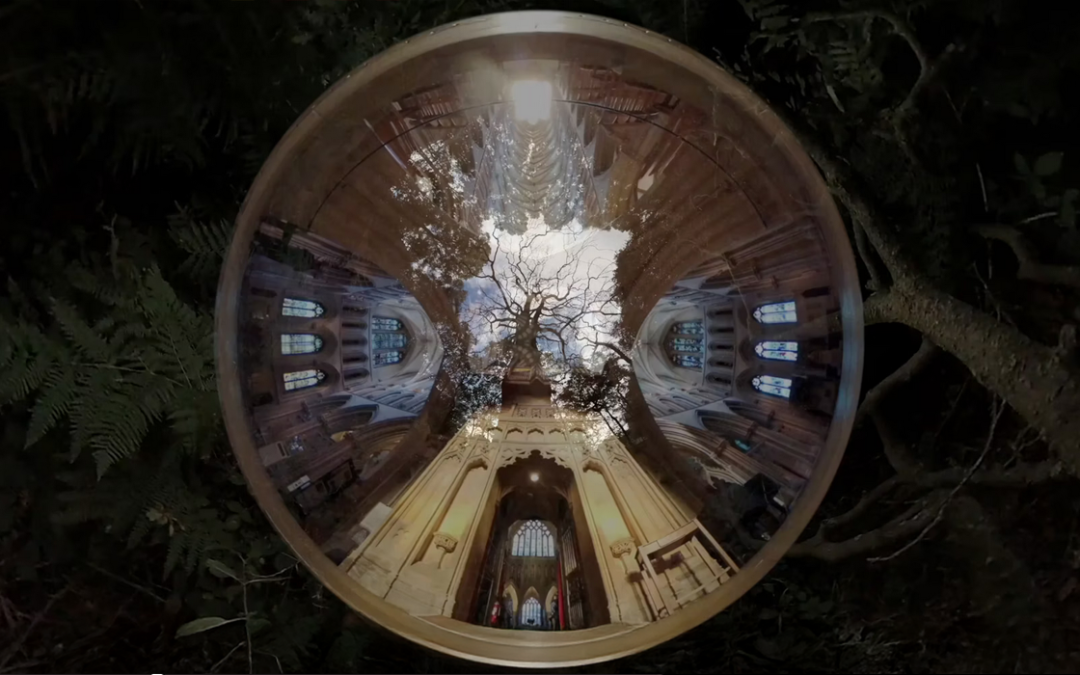 EXHBITIONS ON SCREEN | CANOPIES & CATHEDRALS