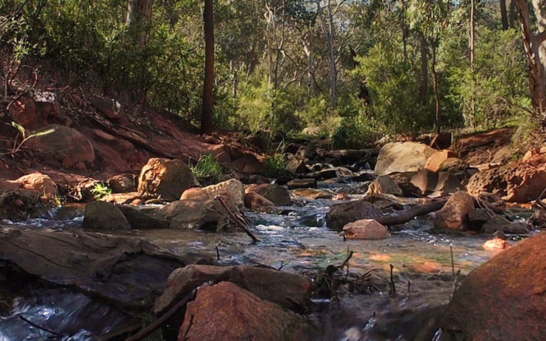 Noongar Six Seasons Slow TV |  Colours of Djilba