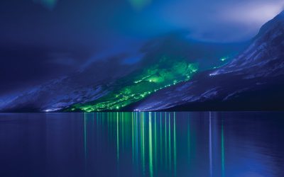 Exhibitions on Screen | Kari Kola, Lighting the Sound