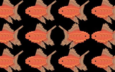 JUNHYEOK JANG | EXHIBITIONS ON SCREEN