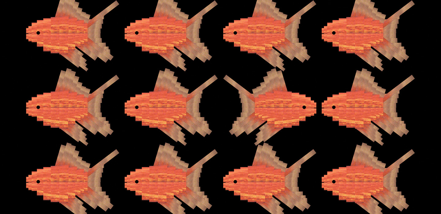 JUNHYEOK JANG Lightbox 26